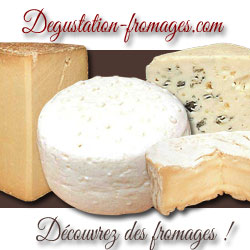 Pour tout savoir sur les fromages