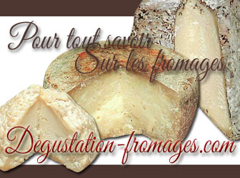 Pour tout savoir sur les fromages