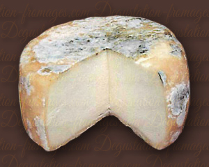 Chèvre Fermier