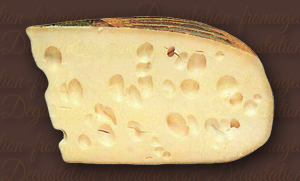 Emmental