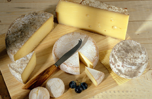 Guide des fromages sur dégustation-fromages.com